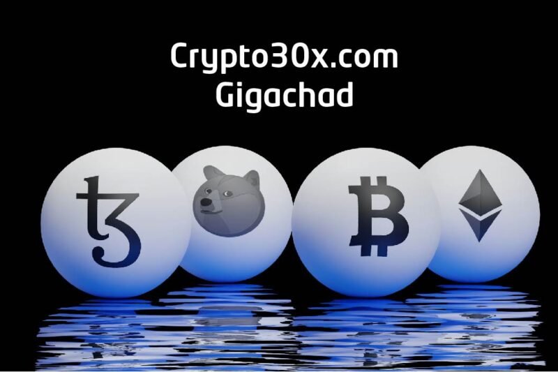Crypto30x.com Gigachad: The Rise of a Digital Legend in the Crypto World