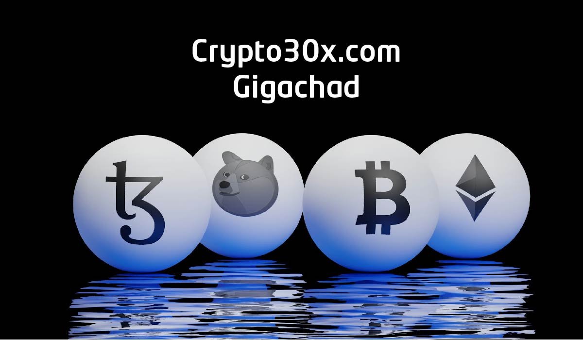 Crypto30x.com Gigachad